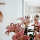 a vase filled with pink flowers on top of a table