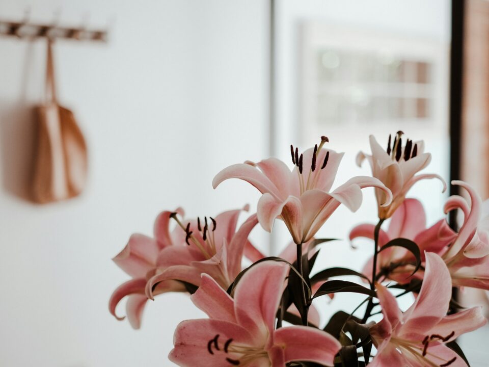 a vase filled with pink flowers on top of a table