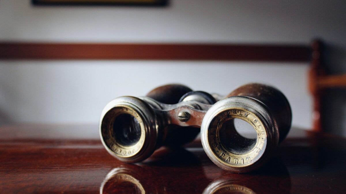 vintage brown binoculars o