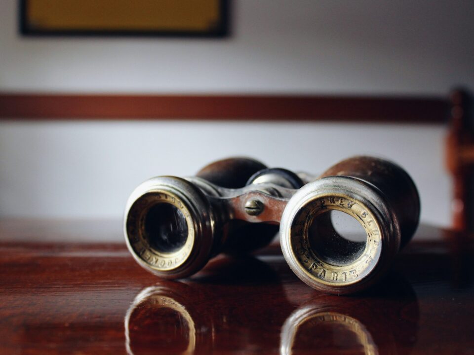 vintage brown binoculars o