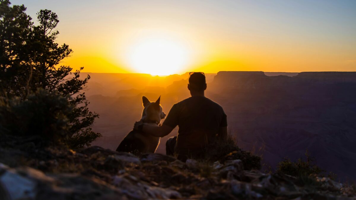 a man and his dog sitting on a cliff at sunset