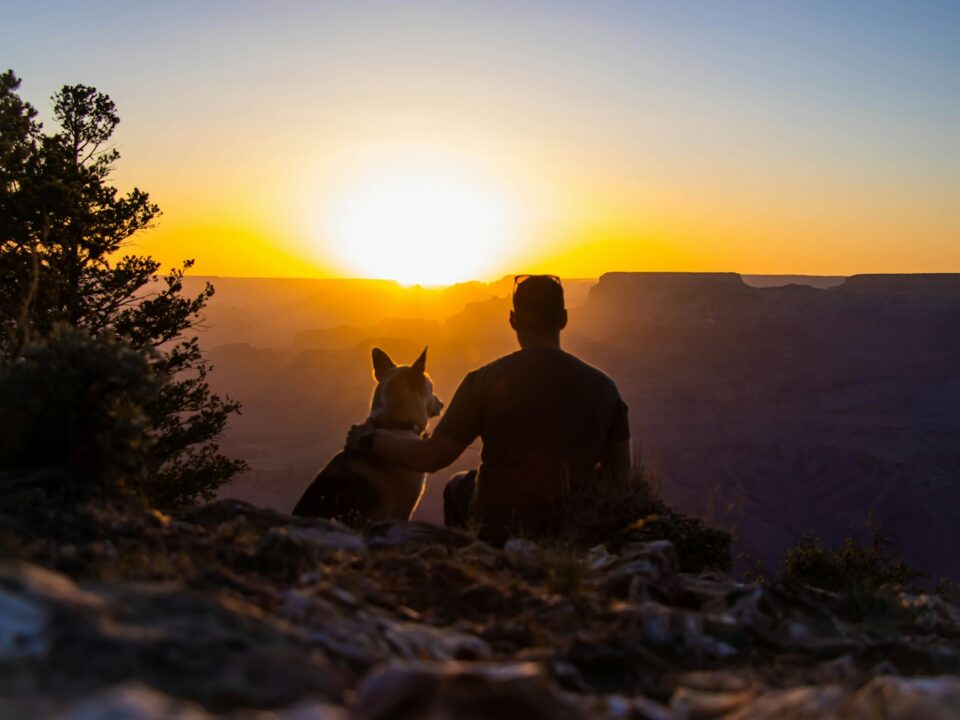 a man and his dog sitting on a cliff at sunset