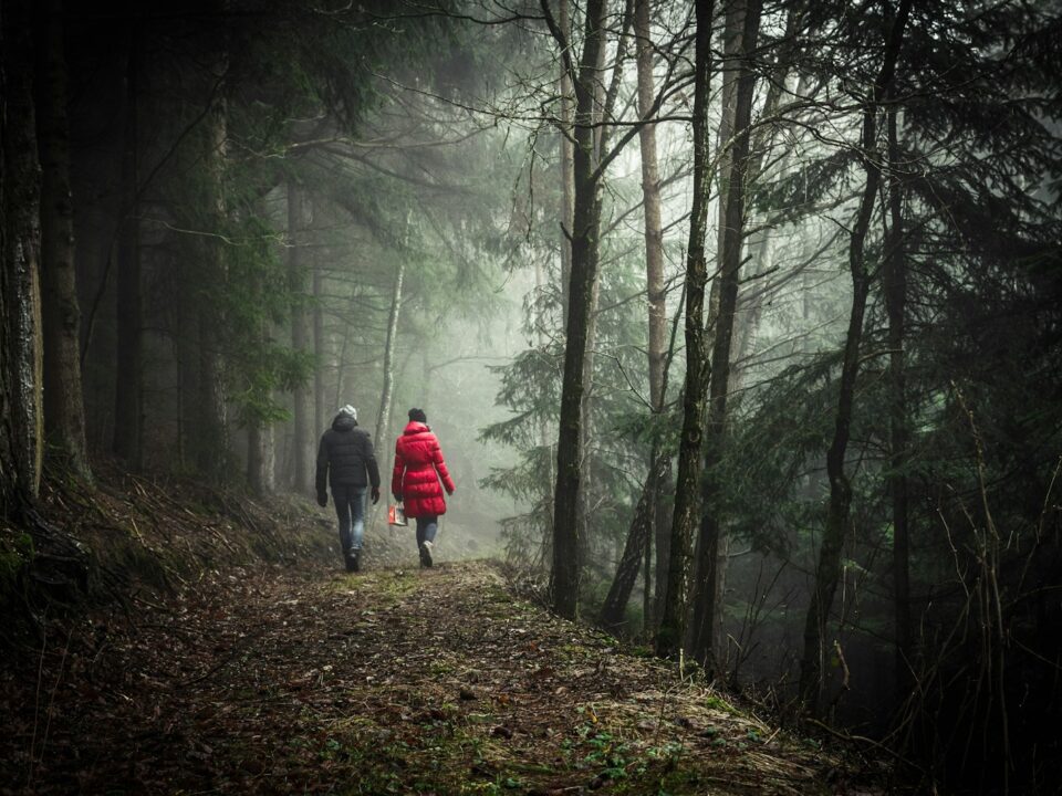 two person walking in forest during daytime