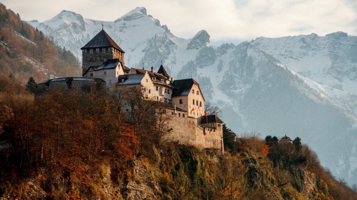 castle on mountain surrounded by trees