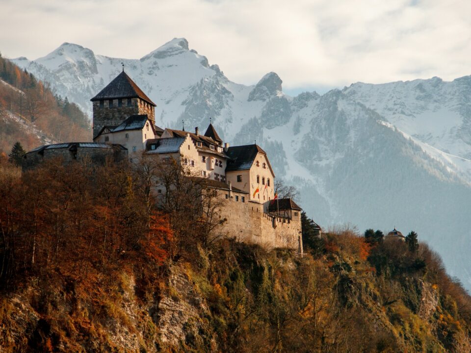 castle on mountain surrounded by trees