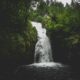 waterfall surrounded by green leaf trees at daytime