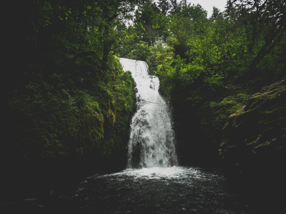 waterfall surrounded by green leaf trees at daytime