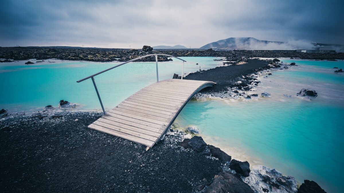 brown wooden bridge during daytime