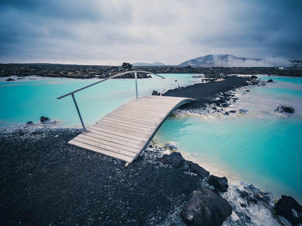 brown wooden bridge during daytime