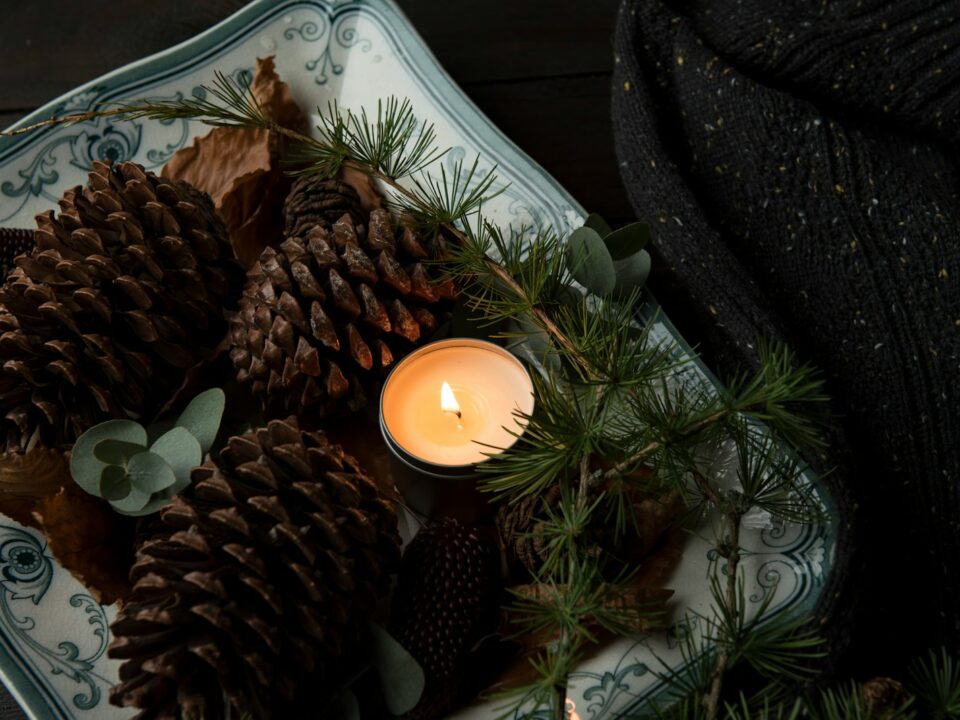 lighted candle on plate beside the pinecones