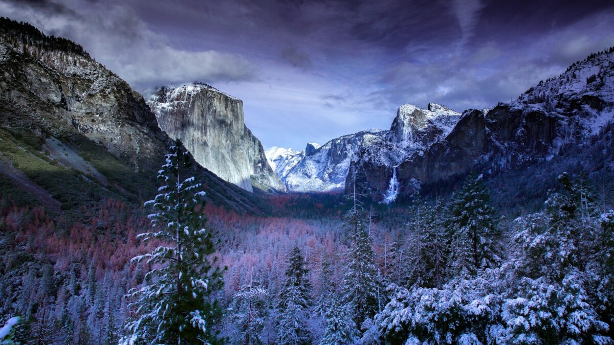 photo of mountains and trees