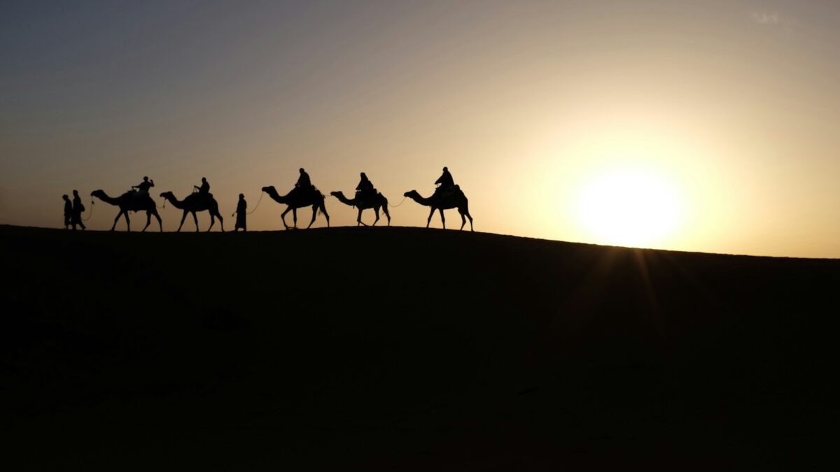 silhouette of people riding on camels