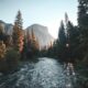 water stream surrounded with green trees