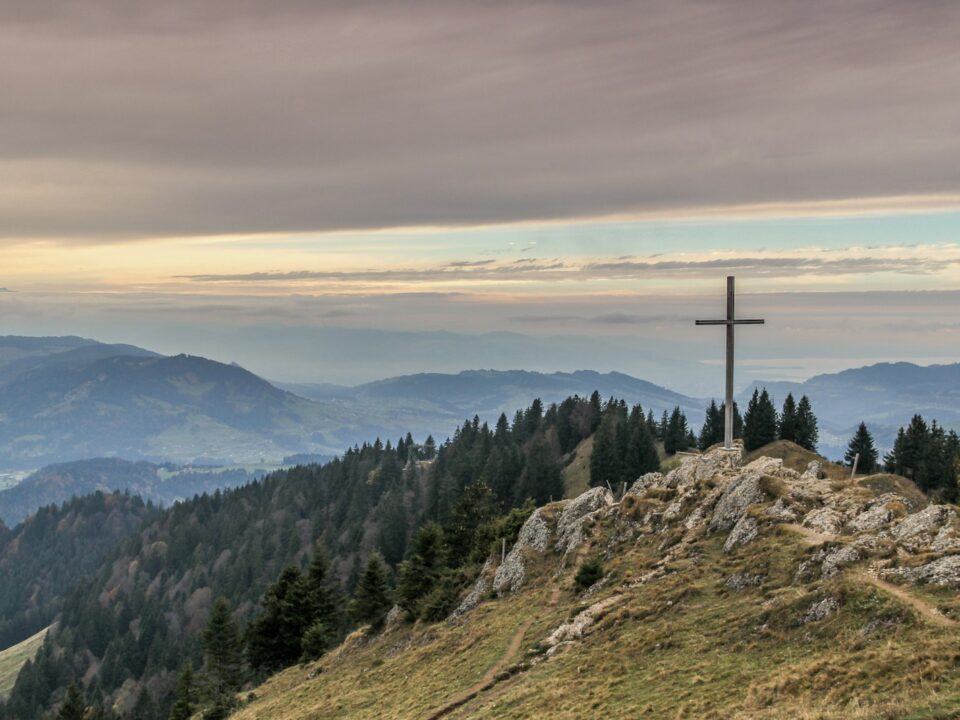 gray cross near tall green trees