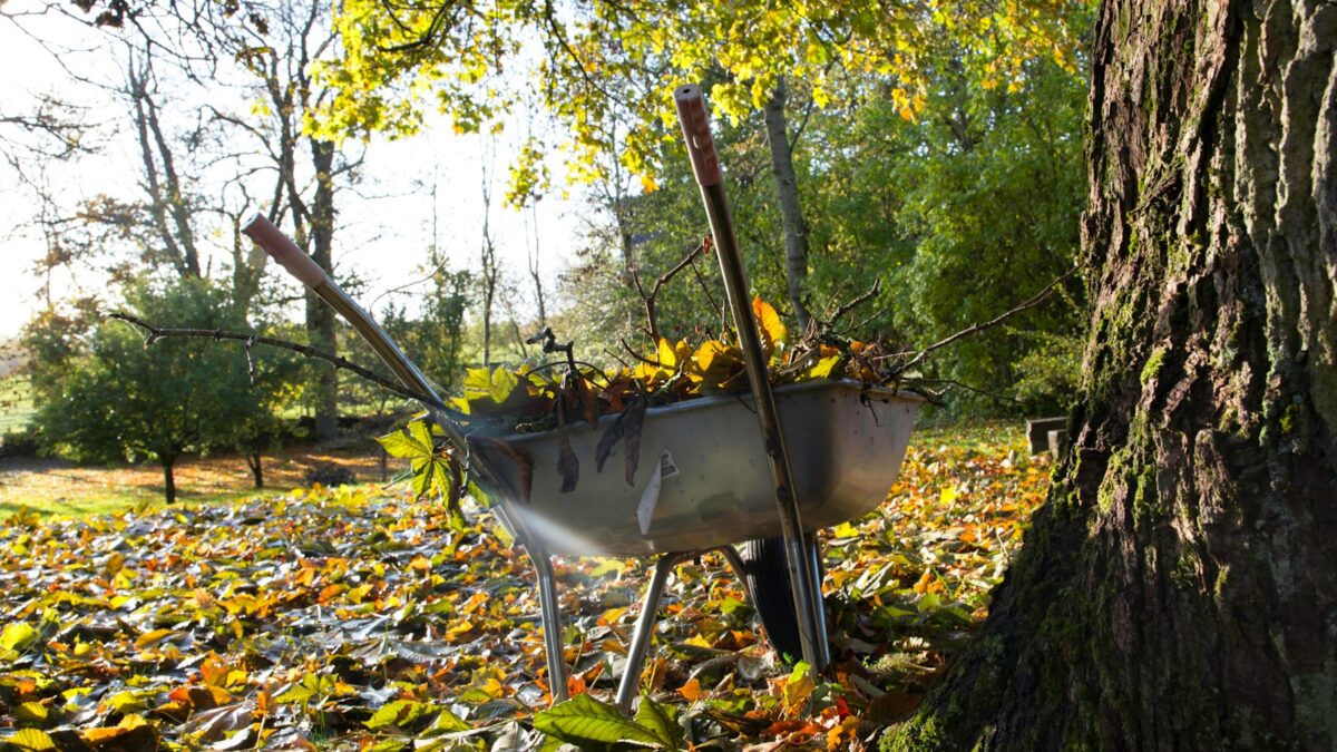 gray and yellow wheelbarrow on green grass during daytime