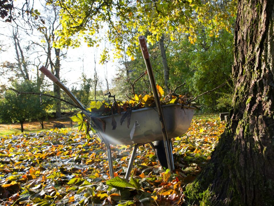 gray and yellow wheelbarrow on green grass during daytime