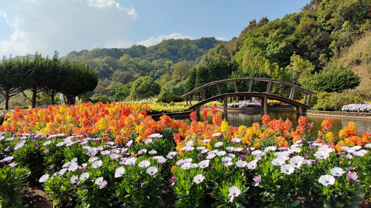 a bridge over a river surrounded by lots of flowers