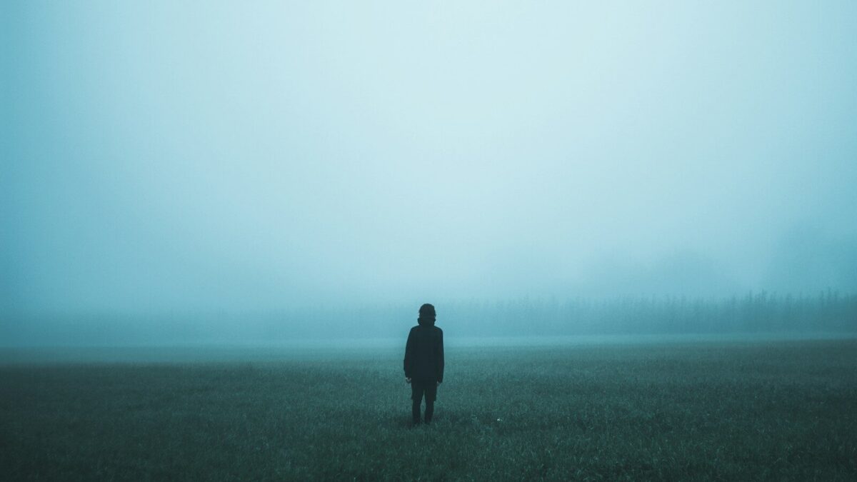 person standing on misty ground
