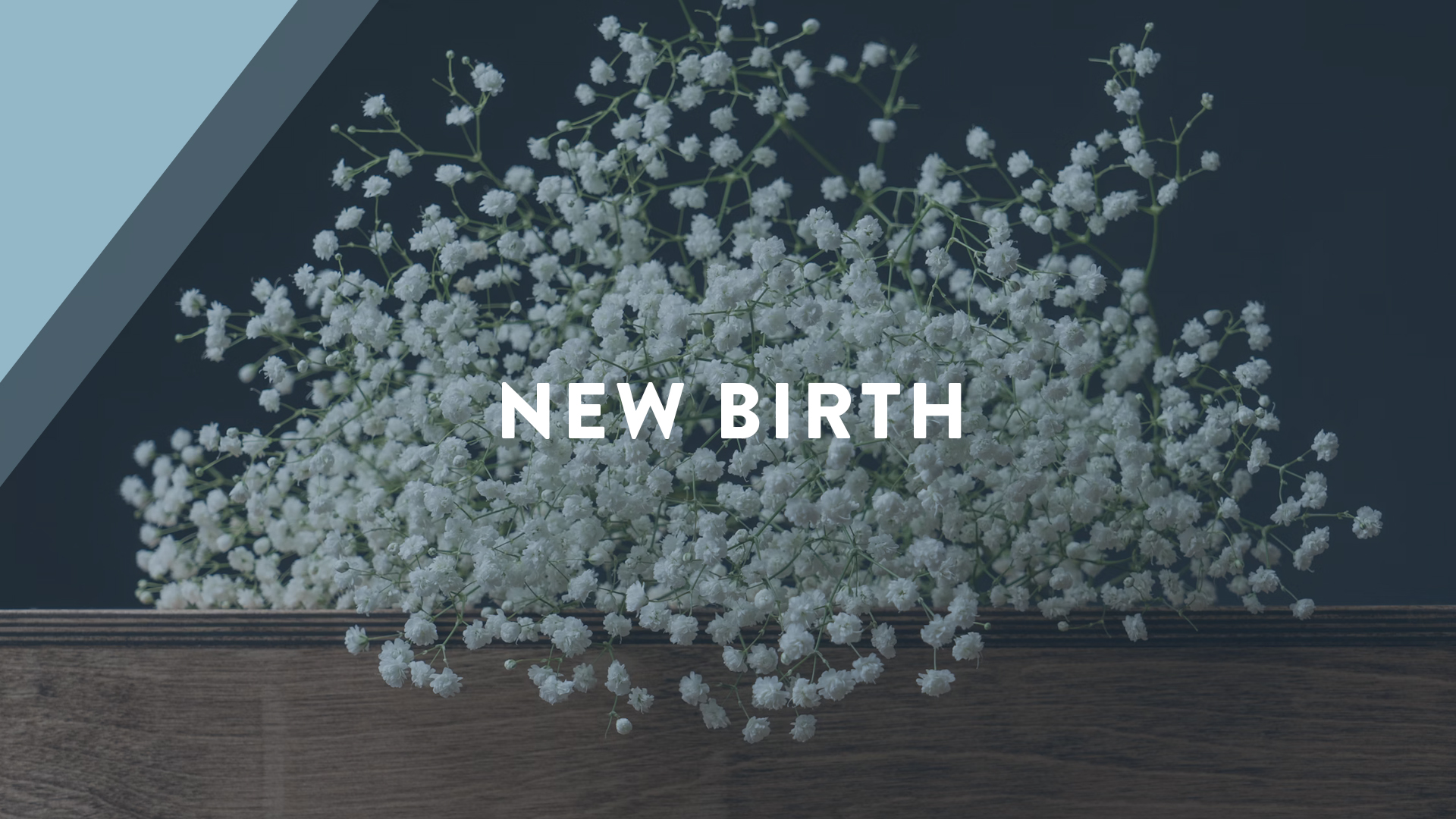 new birth cover