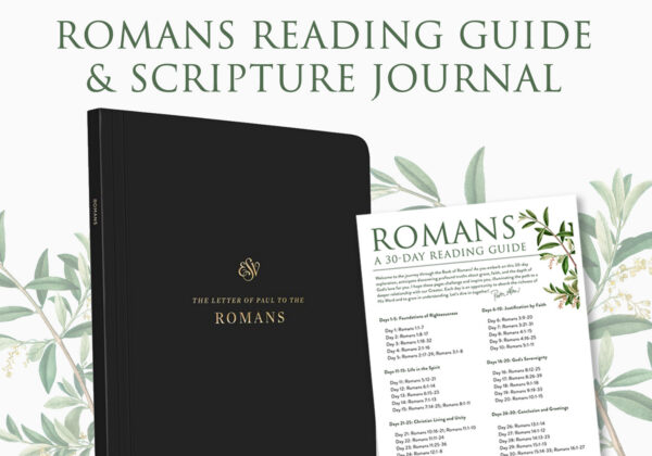 romansguide