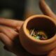round brown clay pot on person's plams