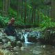 A person in a black dress on a rock by a forest stream